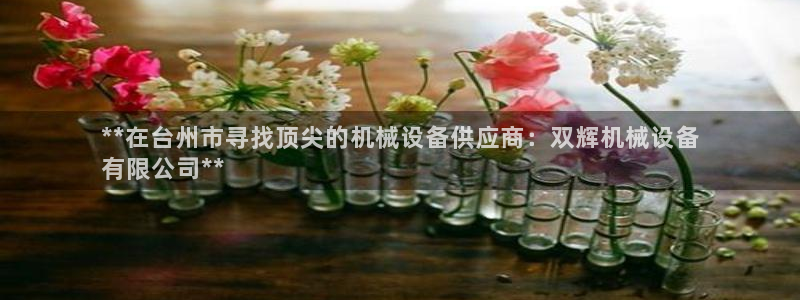 杏盛平台注册登录：**在台州市寻找顶尖的机械设备供应商：双辉机械设备
有限公司*